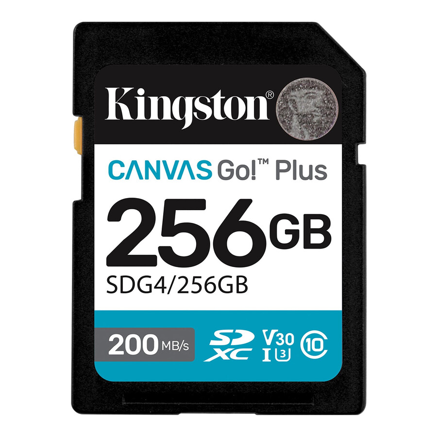 paměťová karta sd canvas go plus – číslo dílu=sdg4256gb